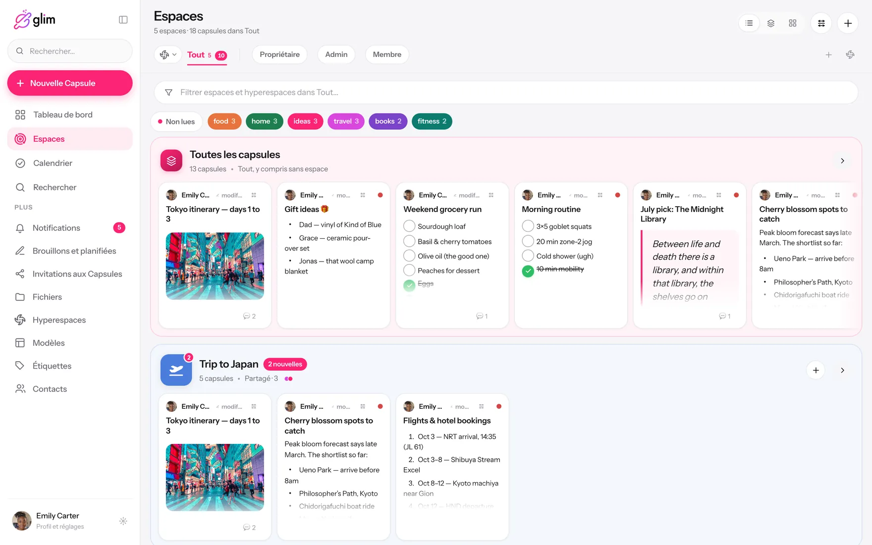 Glim sur un ordinateur portable, avec des espaces partagés